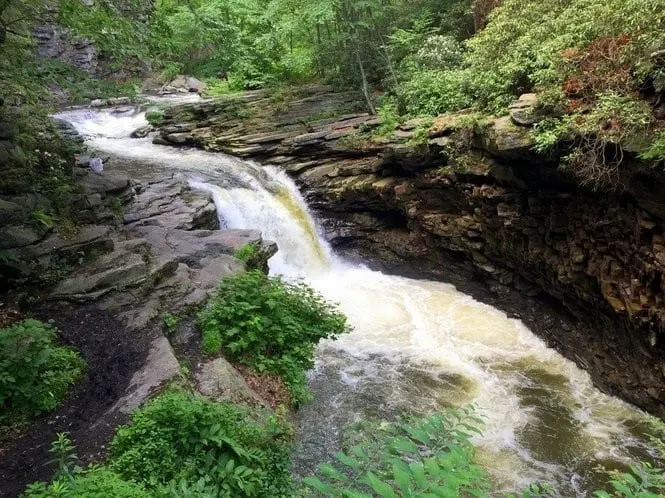 Nay Aug Fall