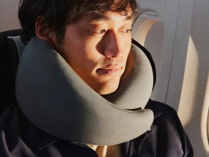 Cabeau Evolution Earth Deluxe vs. Ostrichpillow Go Neck