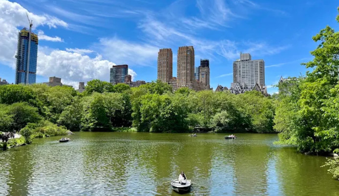 Central Park Picnic