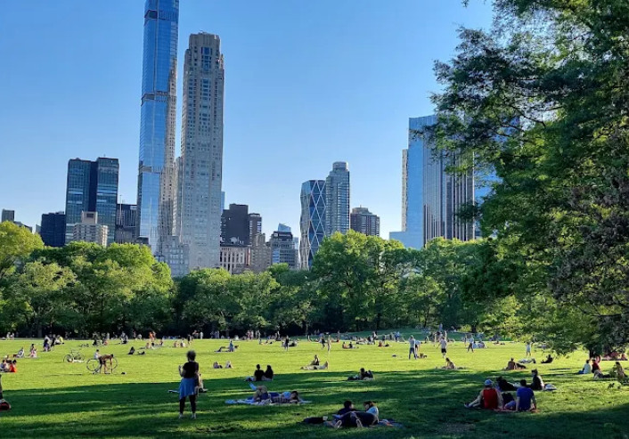 Central Park Picnic